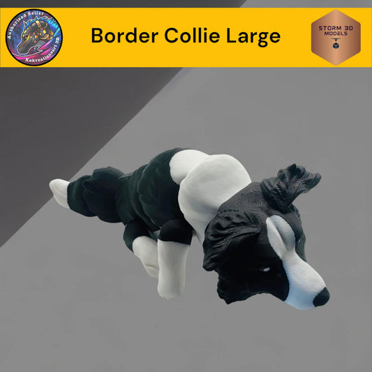 Large Border Collie model on a gray background with 'Storm 3D Models' branding.