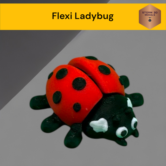 Flexi Ladybug fidget toy 3D Printed